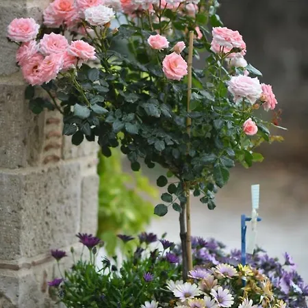 Aparthotel Tassos Corinto