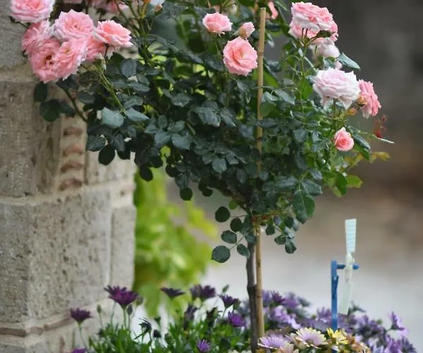 Aparthotel Tassos Corinth